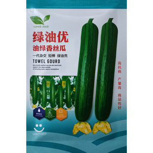 绿油优油绿香丝瓜种子杂交节节瓜短棒绿油亮丝瓜种籽清香味浓高产