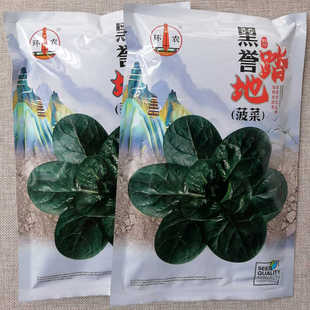 黑誉踏地菠菜种子地爬春秋黑菠菜种籽抗病趴地菠叶色墨绿耐寒耐热
