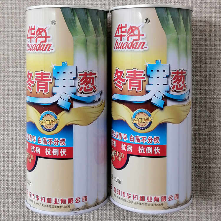 华丹冬青寒葱种子山东大葱种籽耐寒铁杆巨葱白高不分杈早熟长势快