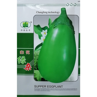 茄子种子 白花绿杂 精品青茄种子 绿罐茄 大棚露地高产茄子种籽