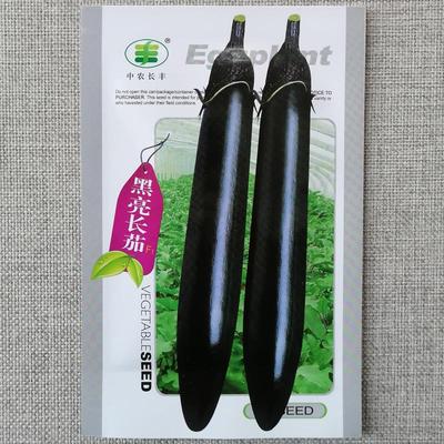 黑长茄子种子抗病高产黑亮