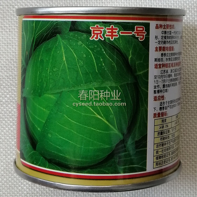 京丰一号中熟卷心菜扁圆甘蓝种子