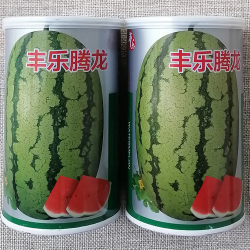 丰乐腾龙西瓜种子 中晚熟西瓜种籽 抗性强易坐果 大红瓤脆甜多汁 - 封面