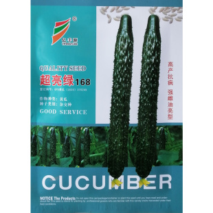 超亮绿168黄瓜种子油亮强雌黄瓜种籽高产抗病杂交瓜码 密甜脆可口