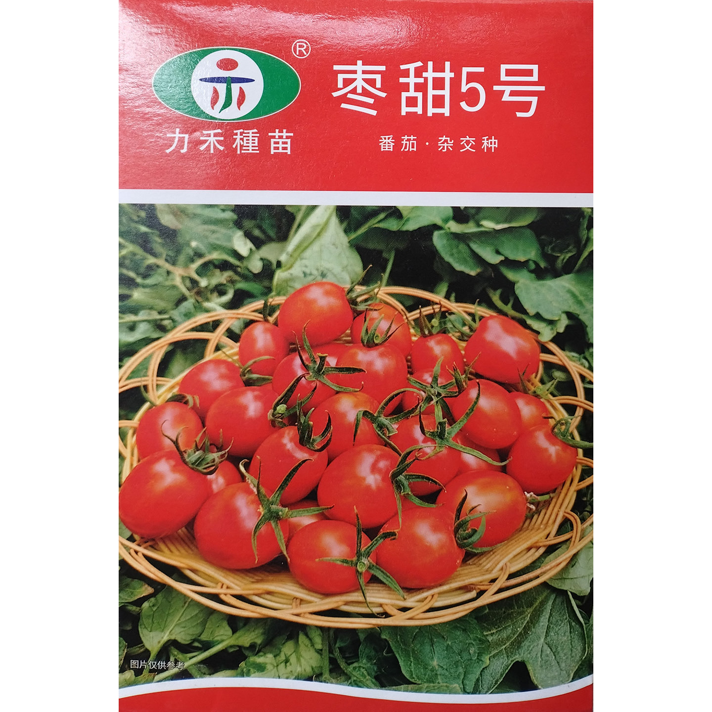 枣甜5号无限生长红果小番茄种子