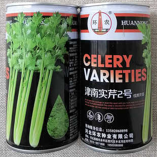 津南实芹2号优质实心芹菜种子高产抗病耐寒浅绿肉质鲜嫩香芹种籽