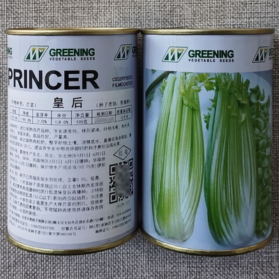 法国皇后西芹种子原装进口芹菜