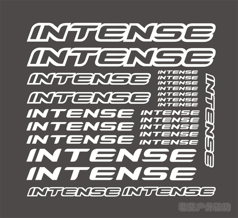 INTENSE车架贴纸 自行车贴纸 山地车架贴花 镂空车架贴