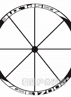 DT SWSS公路车轮组贴纸 碳刀圈贴 山地车刀圈贴纸 MTB轮组贴纸