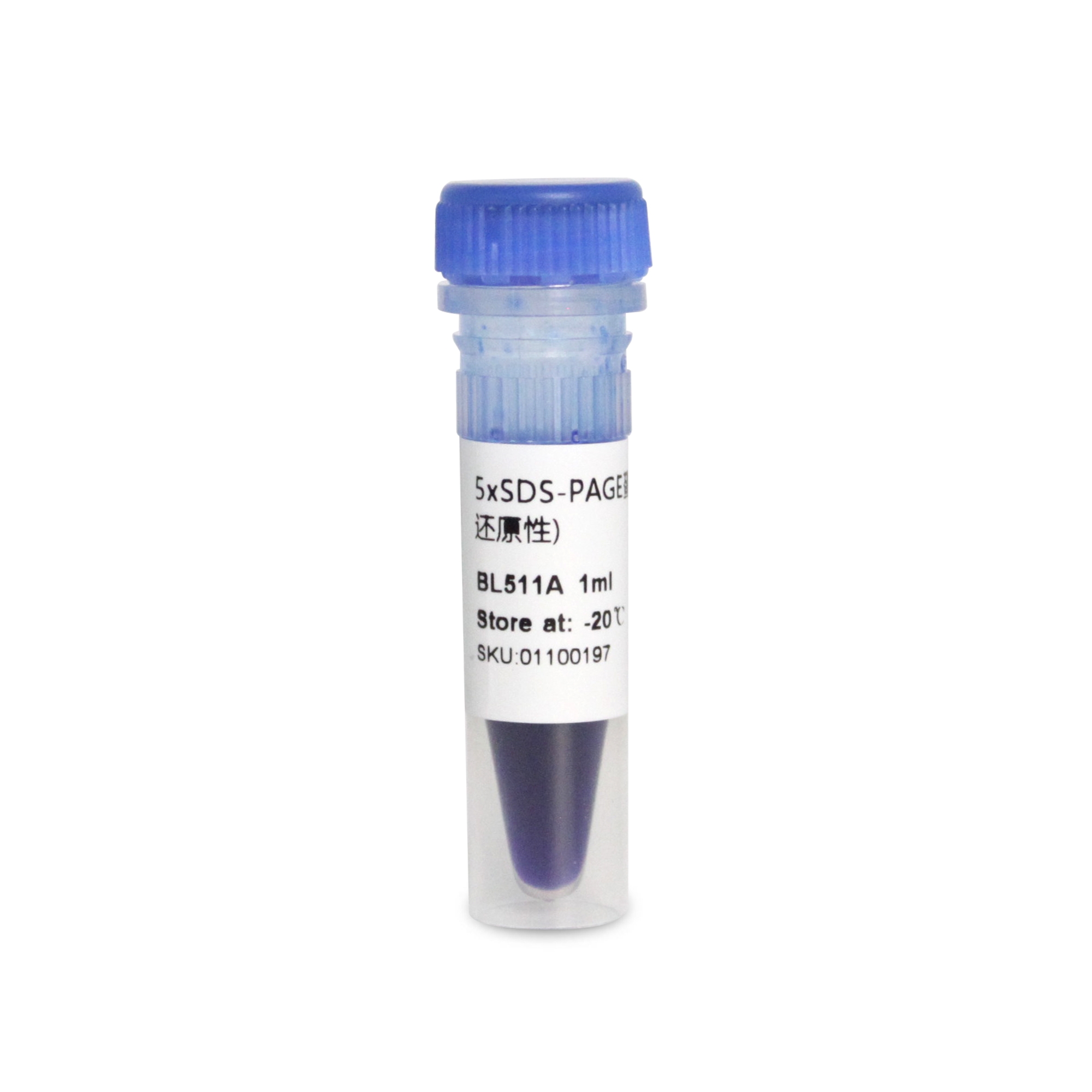 5xSDS-PAGE蛋白上样缓冲液