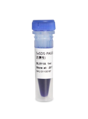 BL511A 5x SDS-PAGE蛋白上样缓冲液（变性非还原性）