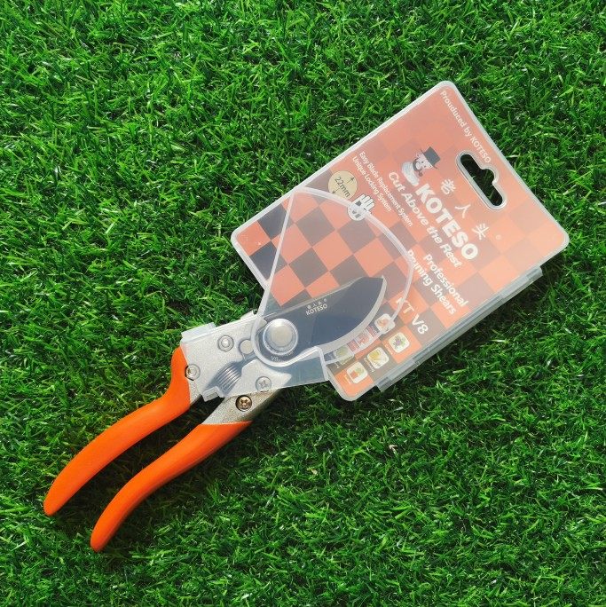 新品台湾老人头KT V8修枝剪高端锋利耐磨园艺小剪刀开拓者KOTESO,鲜花速递/花卉仿真/绿植园艺,剪刀,淘宝优惠券,粉丝福利购,淘宝优惠卷