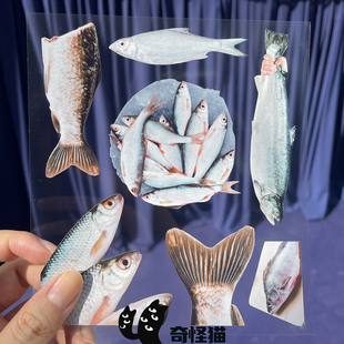 奇怪猫 饰滴胶macbook电脑咕卡贴纸 动物系列冰鲜鱼肉手帐装