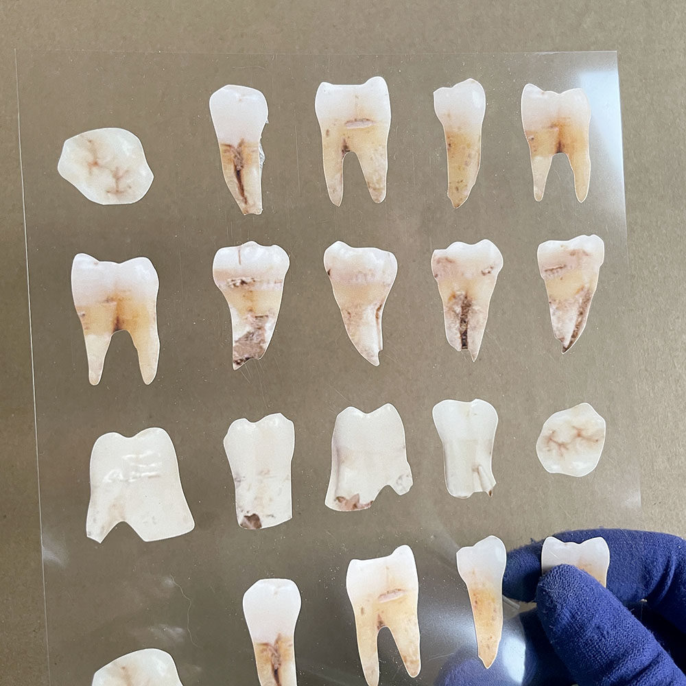 奇怪猫自制小众猎奇猿人类牙齿手机电脑电动车行李箱笔记本贴纸