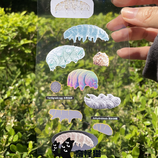 奇怪猫 动物系列 水熊虫微生物地表最强手帐手机装饰防水贴纸