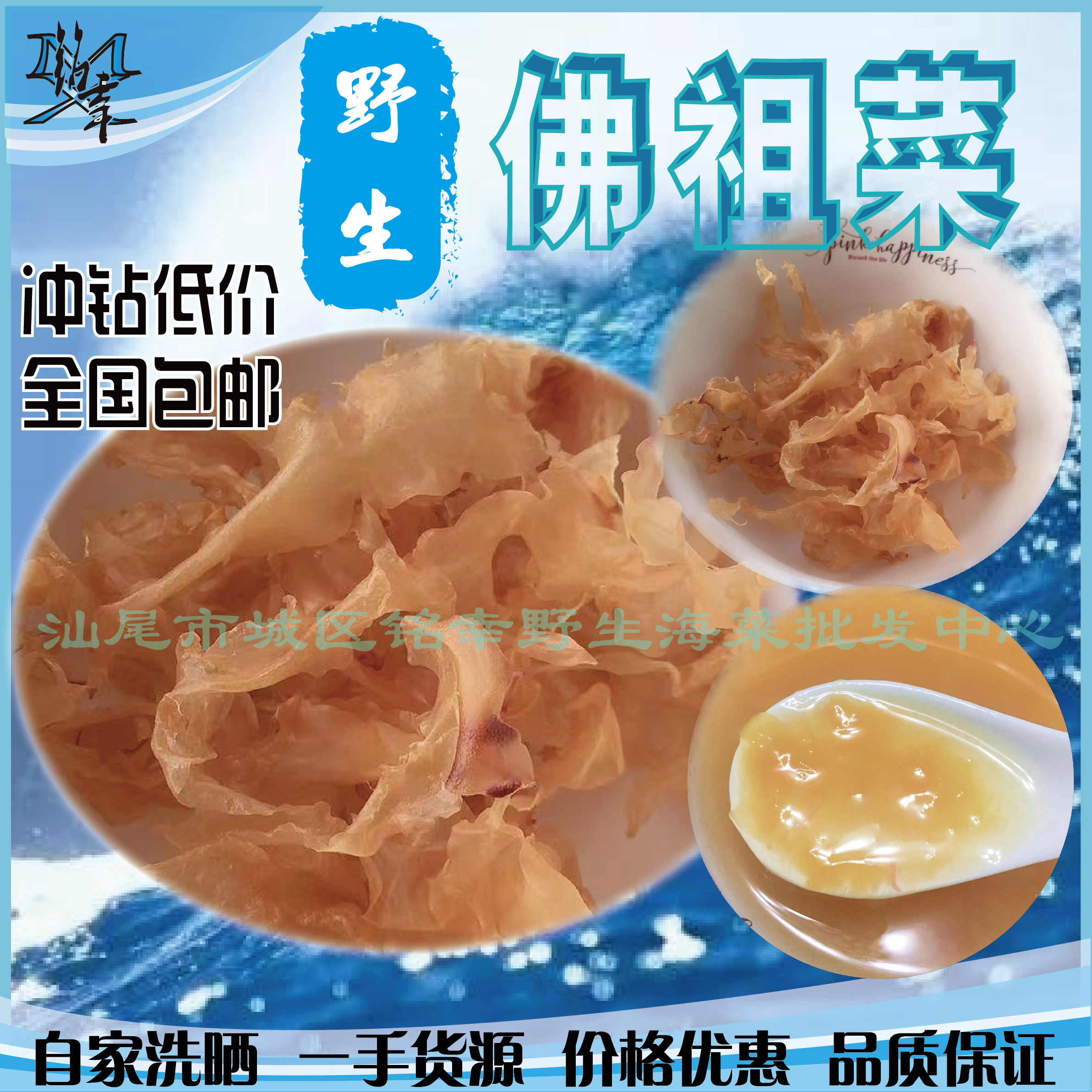 佛祖菜汕尾特产养生美颜海藻面菜海底燕窝散装水产干货海燕窝