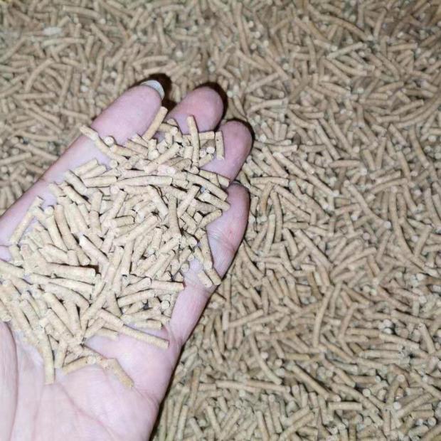 蜜袋鼯颗粒粮蜜袋鼠饲料小蜜奶粉高蛋白营养 蜜袋鼯粮饲料包邮