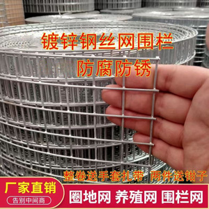 热镀锌钢丝网电焊网栏养殖鸡鸭兔鸽铁丝网围栏玉米围网圈地用网