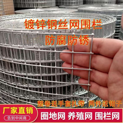 热镀锌钢丝网电焊网栏养殖鸡鸭兔鸽铁丝网围栏玉米围网圈地用网