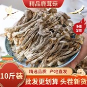 鹿茸菇干货批发非特级10斤整箱鹿茸菌新鲜脆脆菇蘑菇煲汤食材香菇