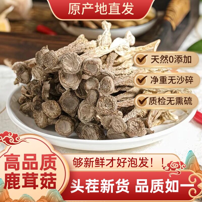 当季鹿茸菇干货净重无熏硫无添加