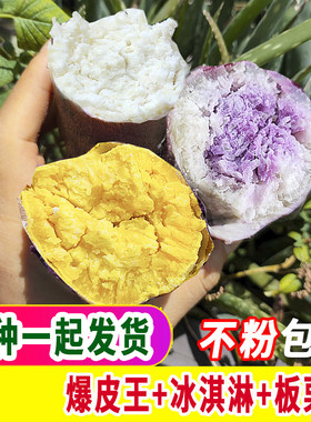 新鲜冰淇淋红薯粉糯甜板栗薯沙地爆皮王番薯混搭当季干面地瓜