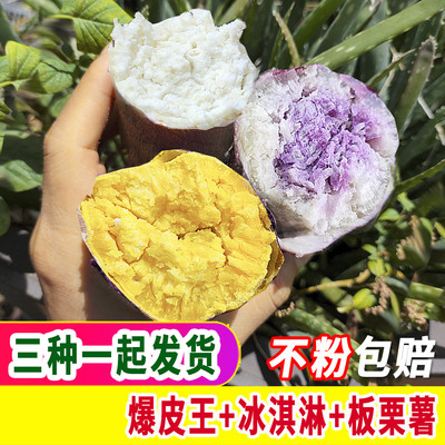 新鲜冰淇淋红薯粉糯干面地瓜