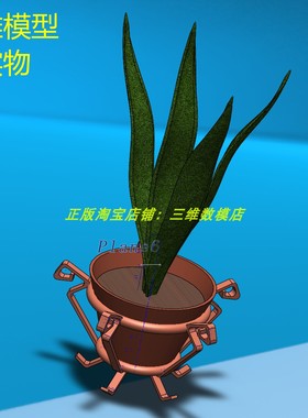 虎皮虎尾兰绿色植物花盆瓶挂架Solidworks三维几何模型3D打印素材