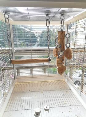 鹦鹉秋千铁梨木铁甲木纹理清晰木质坚硬304不锈钢中小型鸟笼用品