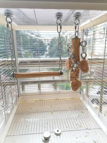 鹦鹉秋千铁梨木铁甲木纹理清晰木质坚硬304不锈钢中小型鸟笼用品