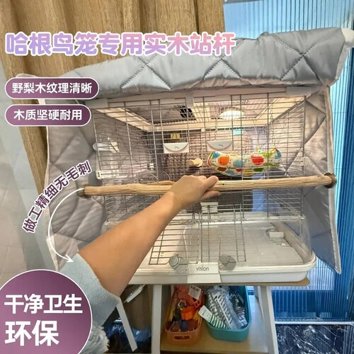 哈根哈利vision鸟笼通杆站杆铁梨木铁甲木实木天然站棍鸟笼用品