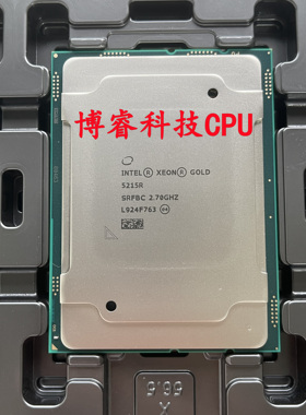 英特尔 Gold 金牌5215R 正显CPU主频2.7G10核20线程支持4路