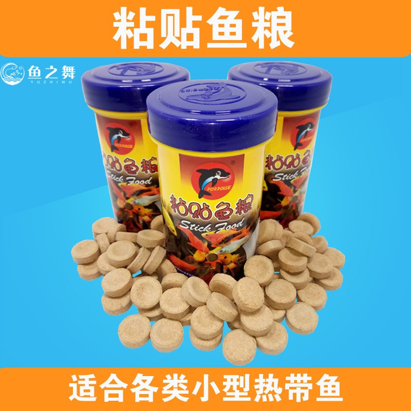 贴片鱼粮海豚孔雀灯科小型