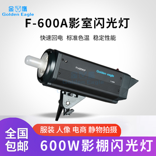 金鹰摄影灯F-600A闪光灯摄影棚专业人像产品大型家具拍摄拍照灯