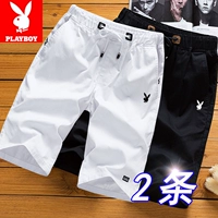 Playboy quần short nam năm quần lỏng quần thường quần mùa hè xu hướng thể thao bãi biển bảy quần - Quần Harem quần áo nam