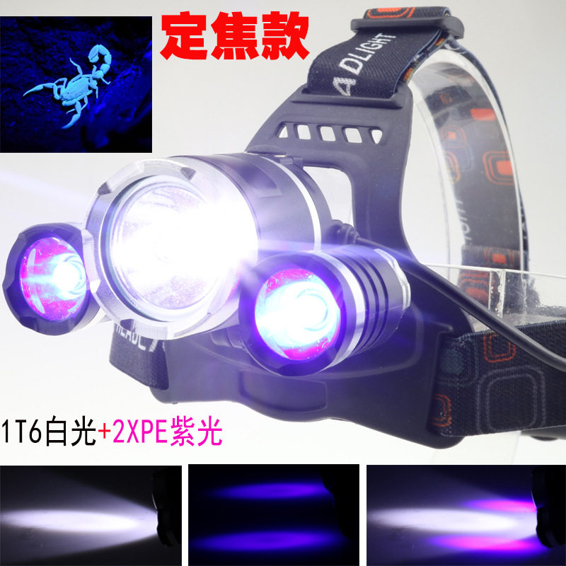 高亮3led头灯夜钓专用紫光照蝎子