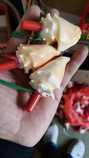 天然大海螺口哨响螺号角吹号贝壳工艺品创意玩具儿童礼物可吹摆件