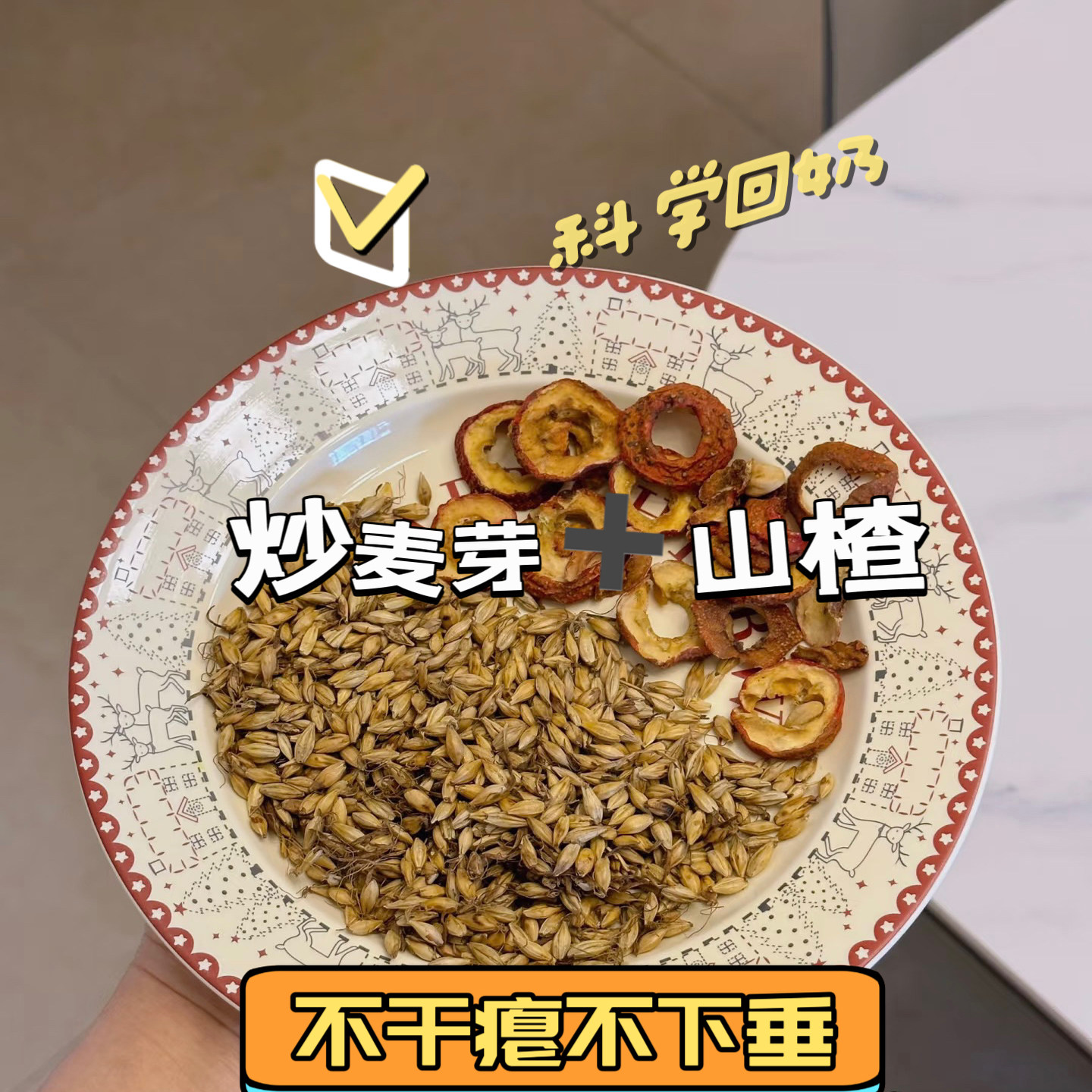 炒麦芽山楂回奶茶麦芽山楂回奶茶断奶退奶生麦芽降泌乳素煲水茶包