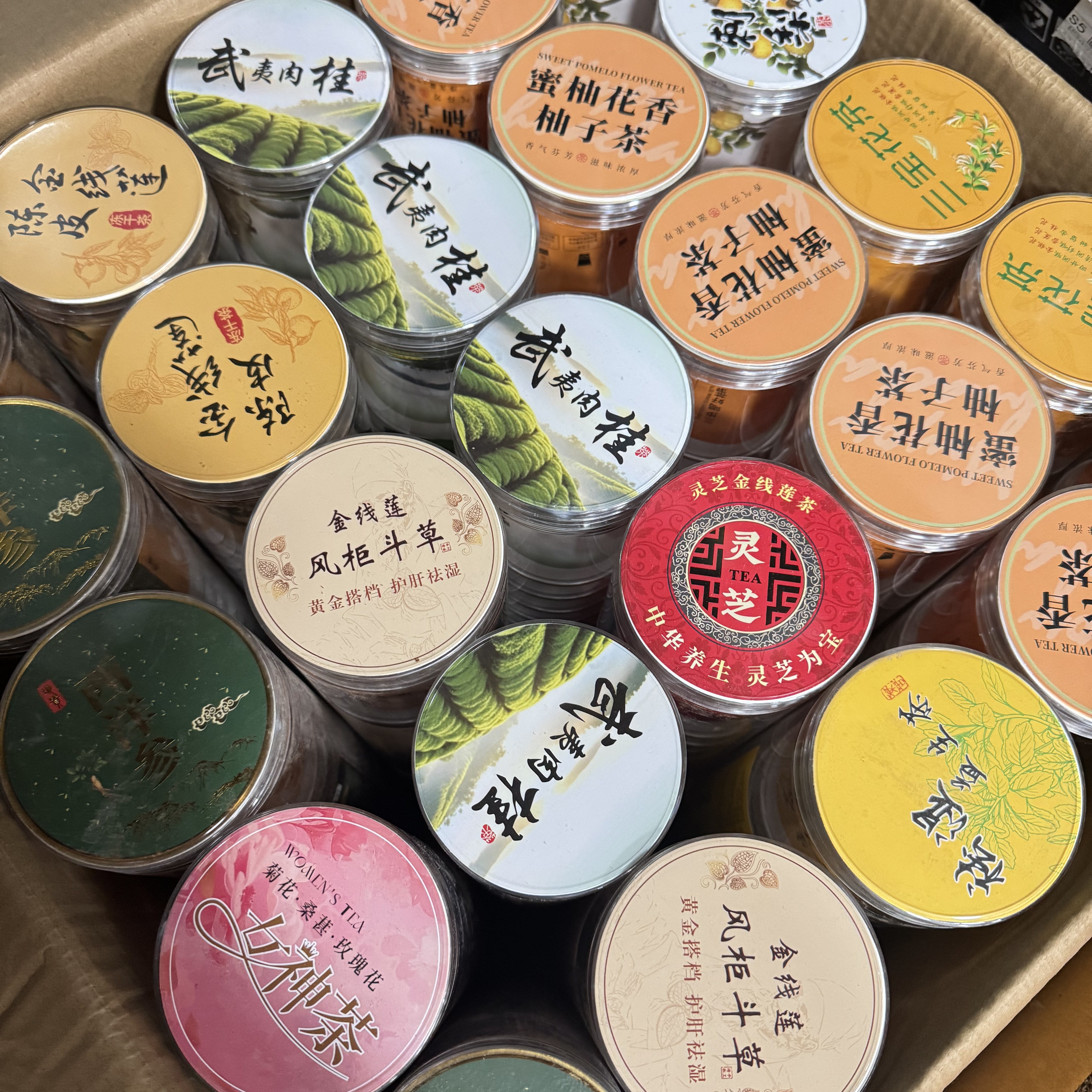 正宗福建多口味金线莲养生茶一次性随手杯办公室冲泡即饮养生茶