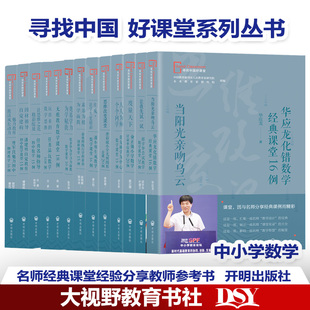 寻找中国好课堂丛书 中小学数学名师教学设计课堂实录 华应龙化错数学经典课堂16例俞正强小学数学计量单位教学20例贲友林唐彩斌等