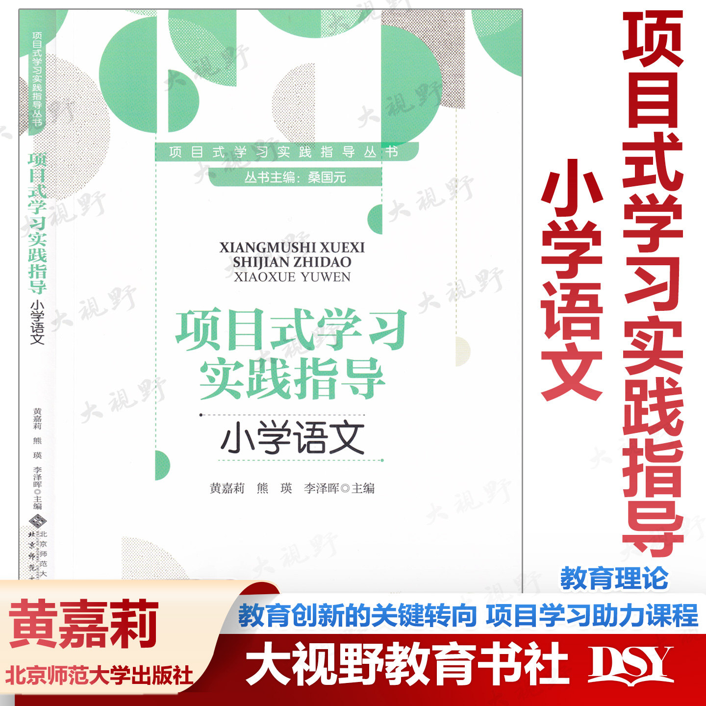 项目式学习实践指导 小学语文科学信息科技初中英语历史道德与法治 桑国元 主编 项目式学习实践指导丛书 北京师范大学出版社