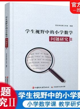 数学问题分析解析贲友林