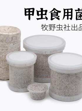 甲虫幼虫锹甲平菇菌秀珍菌云芝