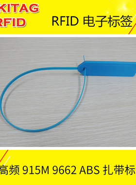 RFID电子标签超高频集装箱远距离意联Alien9662射频感应无源扎带