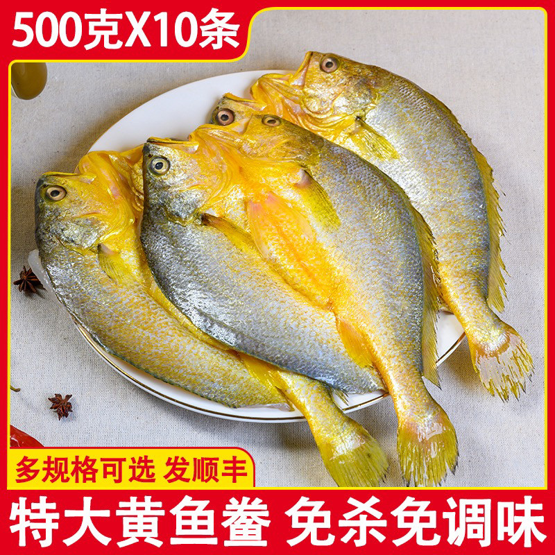 黄鱼鲞新鲜冷冻宁德霞浦黄花鱼咸香三去大黄鱼小黄鱼鲜海鱼非干货