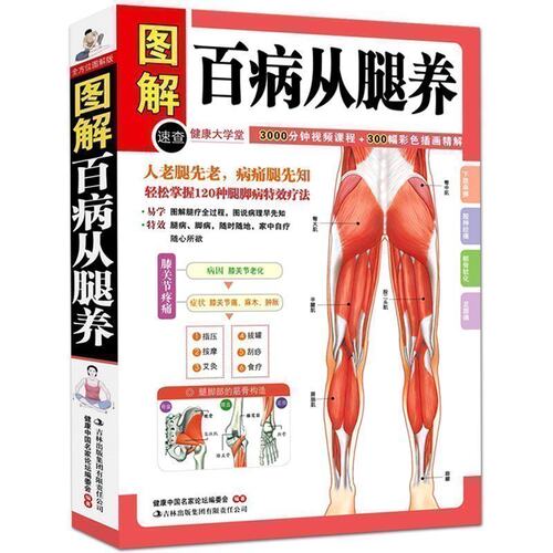 图解百病从腿养 中医理疗养生保健书 家庭医学书 疾病预防和治疗 中医学外科学经典120种腿脚病的te效疗法 中医入门书籍T