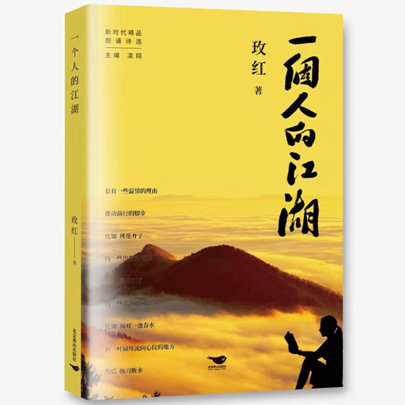 一个人的江湖 当代精品诗歌集！以冷峻理智的语调谈论人生，用谨慎克制的态度描写爱情，用温暖朴素的笔墨抒发乡愁