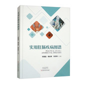 痔肛窝炎肛周脓肿肛瘘肛裂肛乳头瘤直肠脱垂结直肠息肉肛周湿疹肛肠疾病手术治疗书籍 杨会举 实用肛肠手术图谱 刘佃温