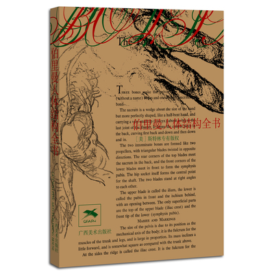 伯里曼人体结构全书袖珍版便携小开本 人体人物绘画教学素描大师速写临摹基础入门技法教程动漫