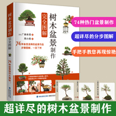 树木盆景制作完全图解 盆景造型设计图盆景制作书养护书籍盆景艺术造型书树木盆景造型设计书 盆景书籍盆栽书籍